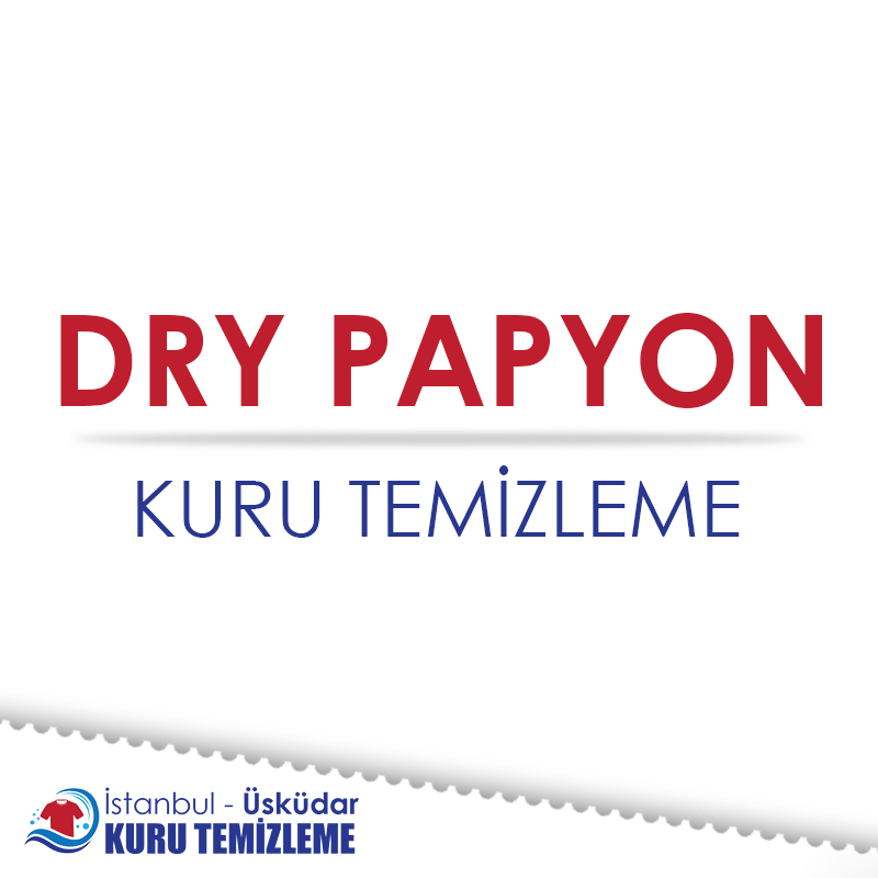 Dry Papyon : Kapak Görseli